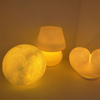 3D Night Lights, Ideal as a Holiday Gift for Girls