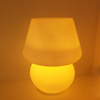 Perfect Small Gift for a Girlfriend During The Holidays: a Night Light